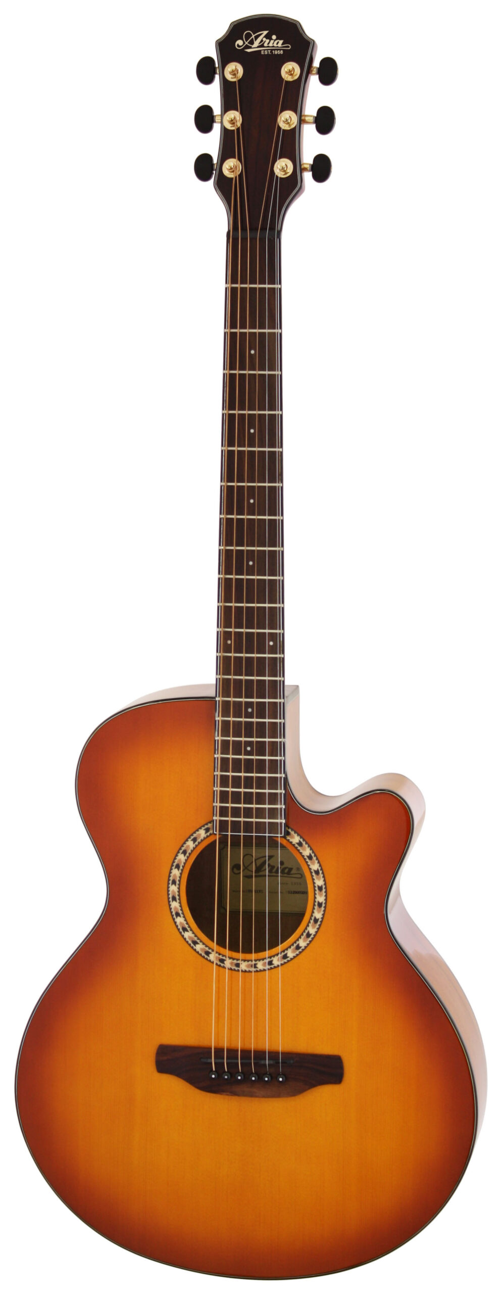Aria EST.1956 TG-1 CS NEW ARRIVAL - ギター